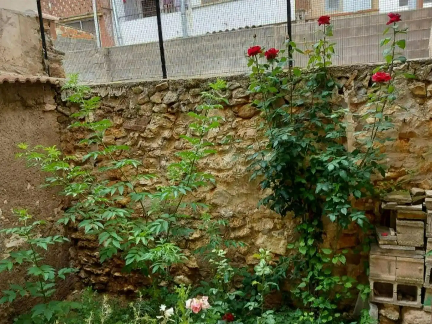 Country homes for sale in Calle Carlos Castel, 37, Calamocha Garden of Country homes for sale in Calamocha with Private garden, Storage room and Balcony