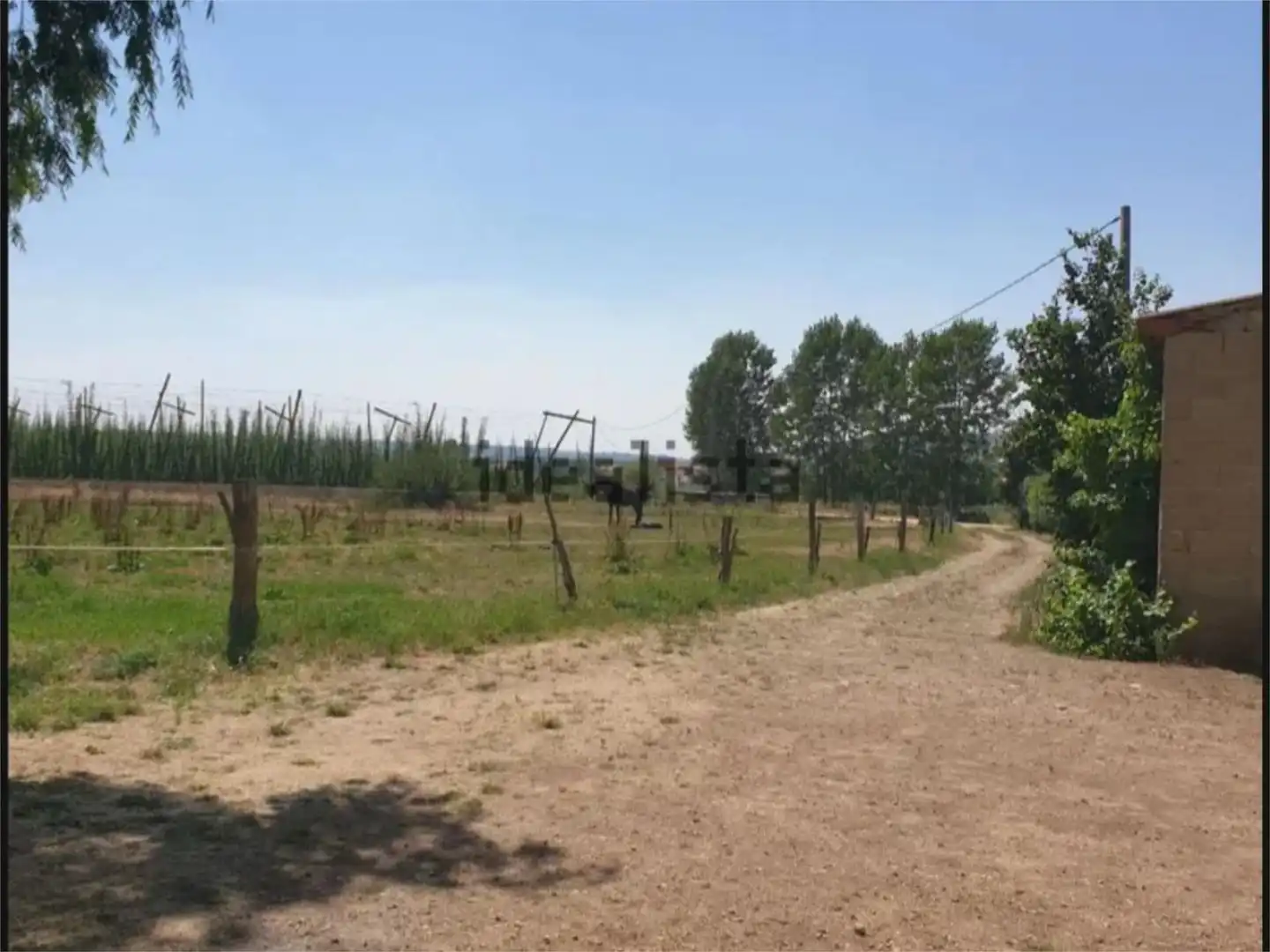 Flat for sale in Turcia