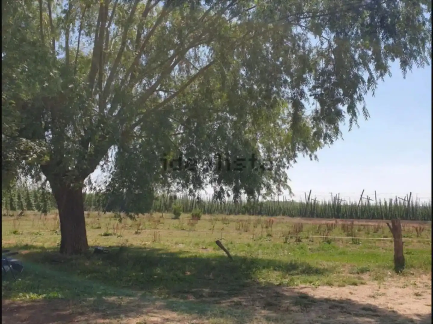 Flat for sale in Turcia