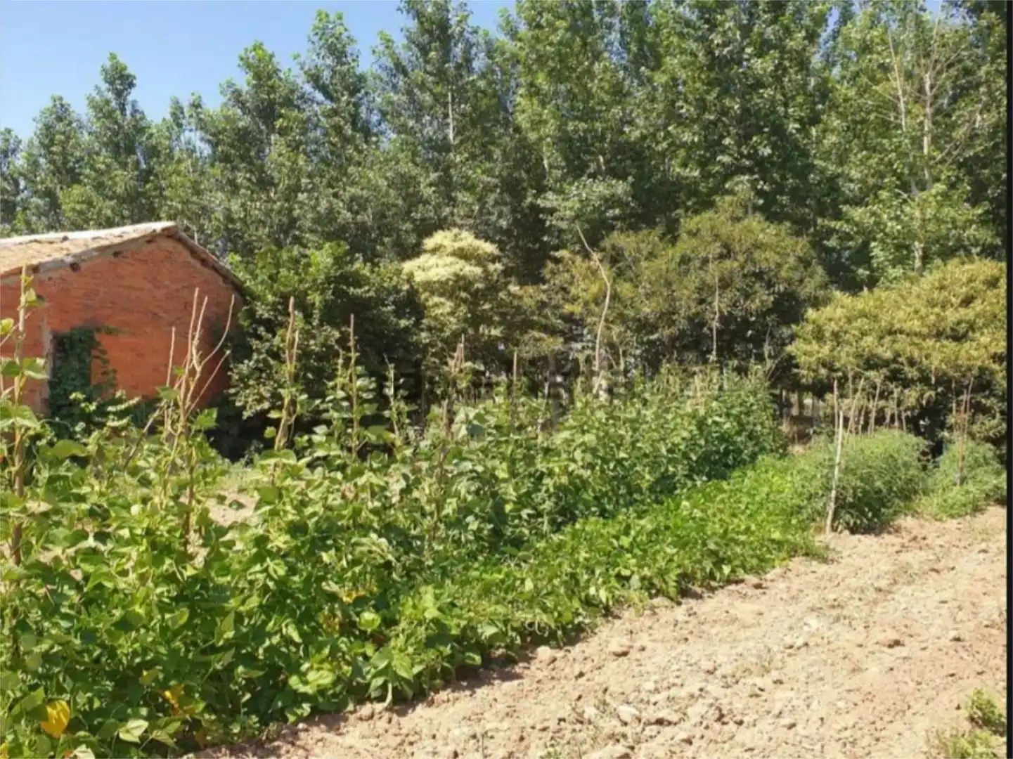 Flat for sale in Turcia
