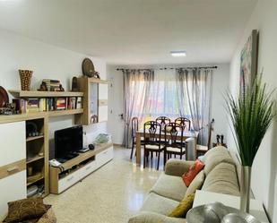 Sala d'estar de Pis per a compartir en  Santa Cruz de Tenerife Capital amb Balcó