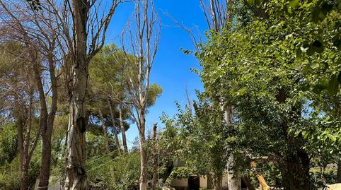 Casa o xalet en venda a Calle Don Quijote, 762, Argamasilla de Alba, Ciudad Real - imatge 3 Foto 3 de Casa o xalet en venda a Calle Don Quijote, 762, Argamasilla de Alba, Ciudad Real