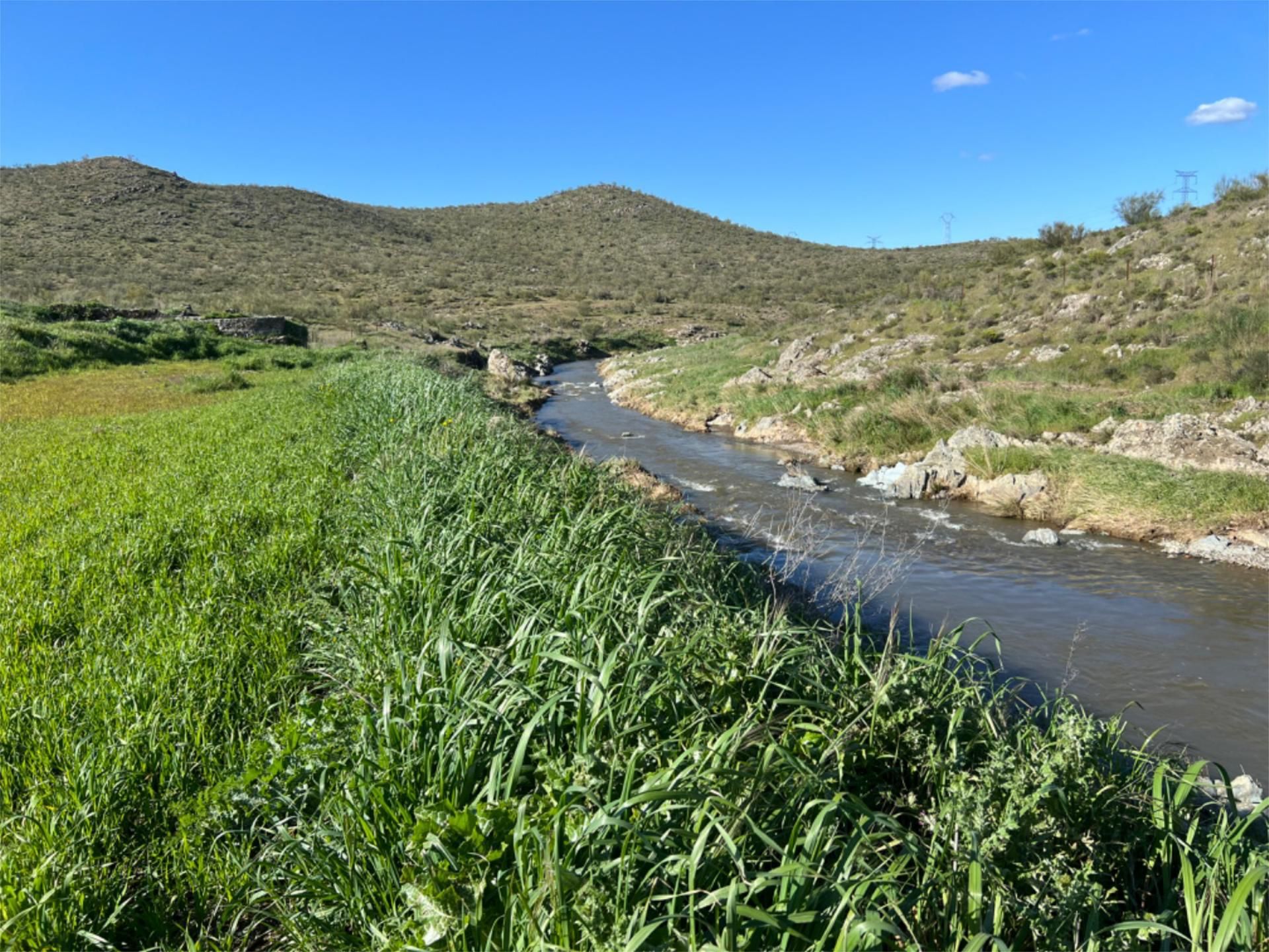 Exterior view of Land for sale in Montemolín