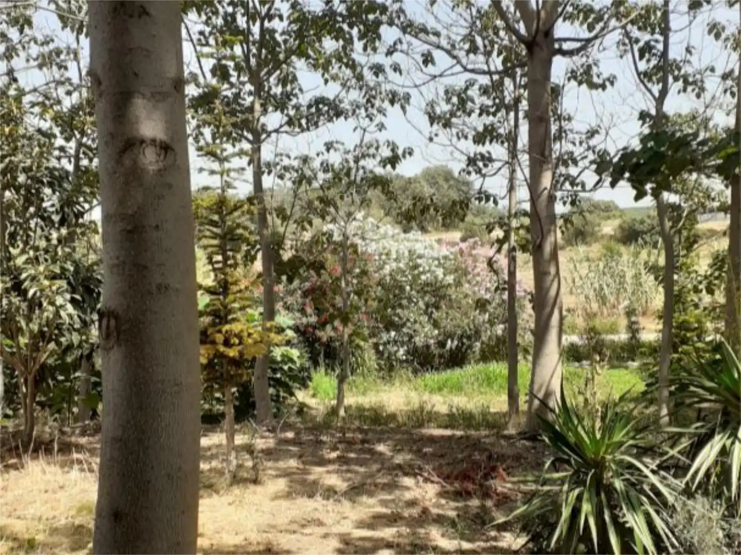 Terreno en venta en Calle Mosen Ramon Artigues, 24, Alguaire Terreno en venta en Alguaire