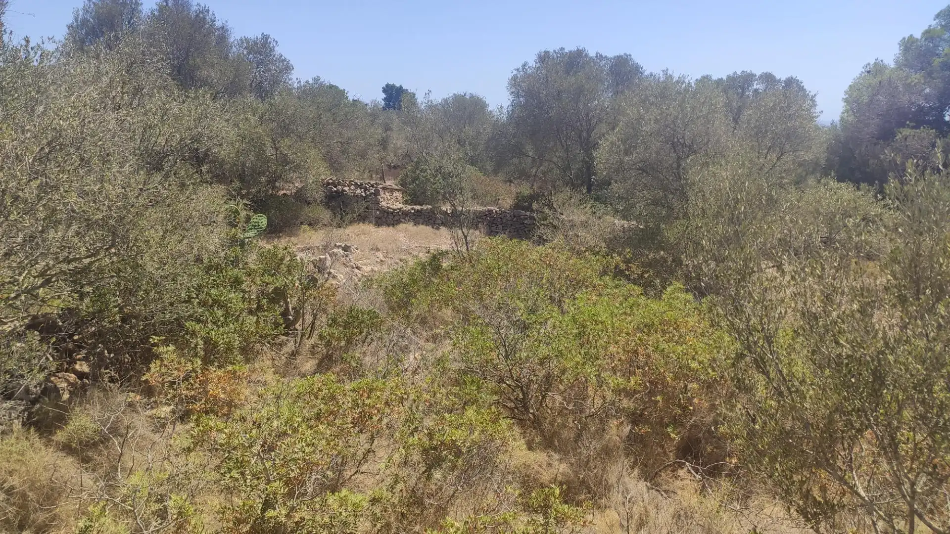 Land for sale in Carrer Can Domingo, Sa Cabaneta Land for sale in Marratxí