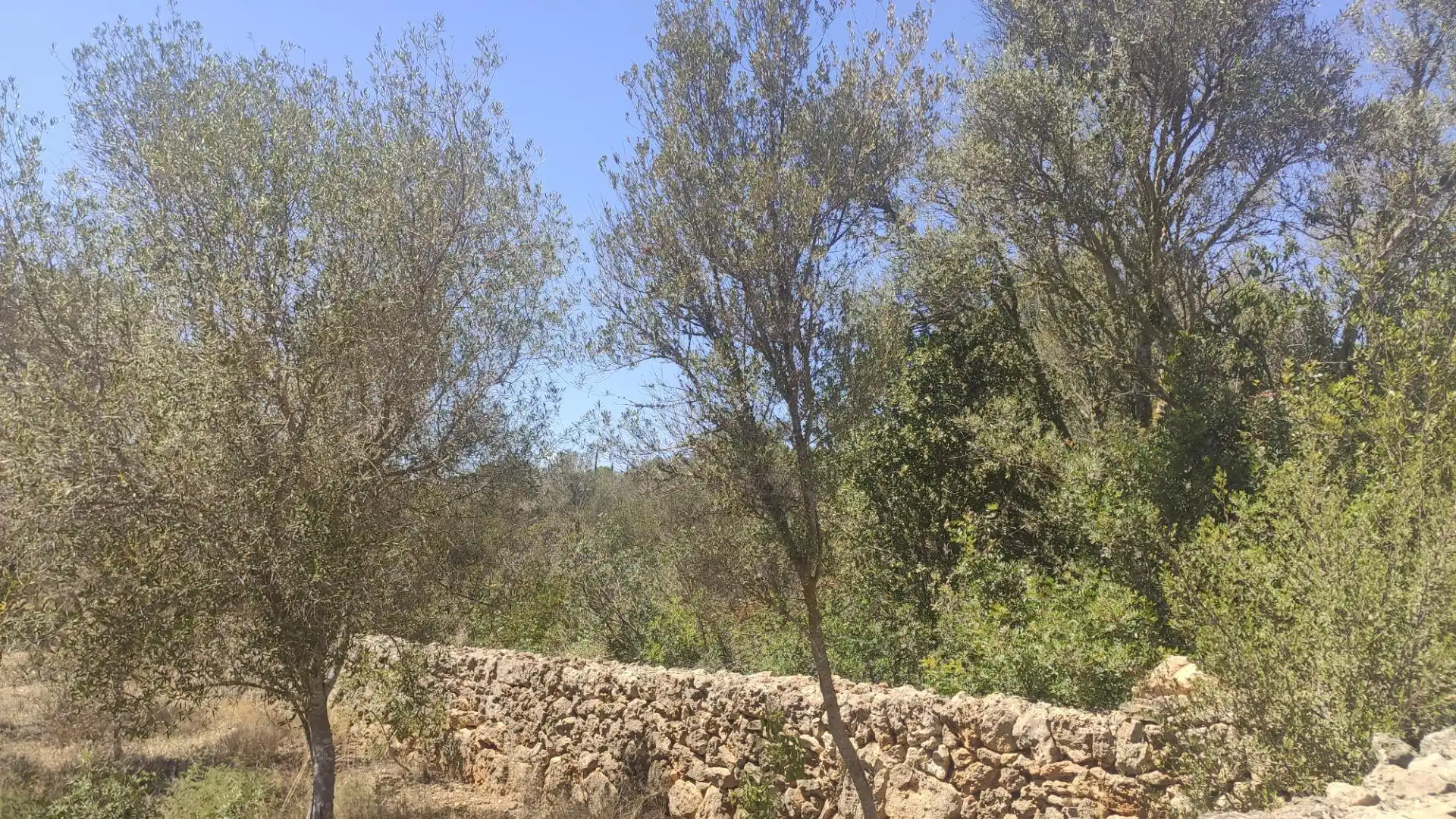 Land for sale in Carrer Can Domingo, Sa Cabaneta Land for sale in Marratxí