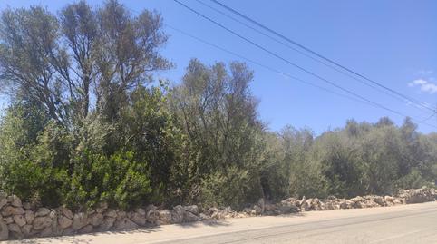 Foto 3 de Terreno en venta en Carrer Can Domingo, 2a, Sa Cabaneta, Illes Balears
