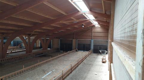 Finca rústica en venda a Diseminado Diseminados, 47, Salas de los Infantes, Burgos - imatge 3 Foto 3 de Finca rústica en venda a Diseminado Diseminados, 47, Salas de los Infantes, Burgos