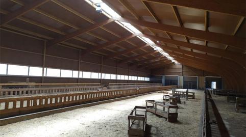 Finca rústica en venda a Diseminado Diseminados, 47, Salas de los Infantes, Burgos - imatge 4 Foto 4 de Finca rústica en venda a Diseminado Diseminados, 47, Salas de los Infantes, Burgos