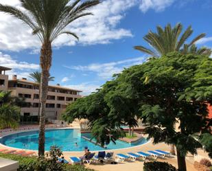 Piscina de Pis en venda en Adeje amb Terrassa i Piscina