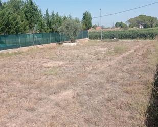 Land for sale in Puigverd de Lleida