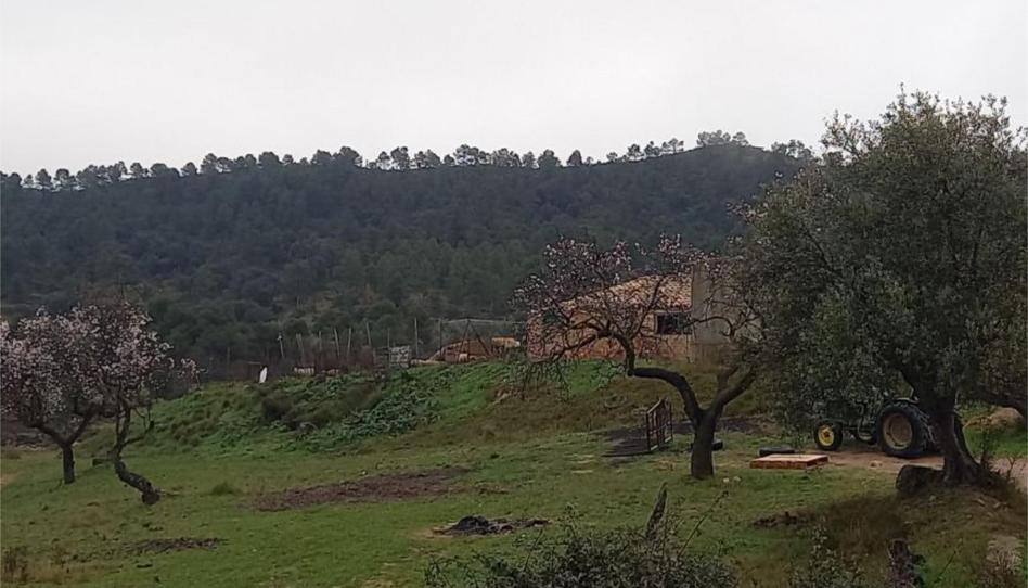 Foto 1 de No Urbanitzable en venda a Avinguda del Port D'horta de Sant Joan, 46, Horta de Sant Joan, Tarragona