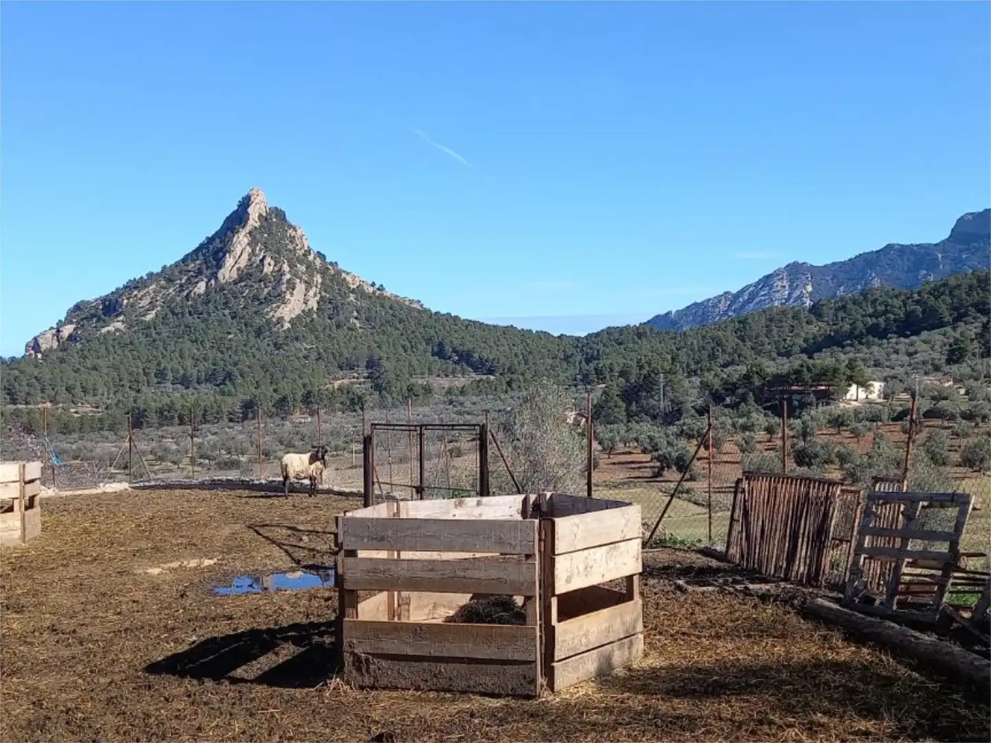 No Urbanizable en venta en Avinguda del Port d'Horta de Sant Joan, 46, Horta de Sant Joan Jardín de No Urbanizable en venta en Horta de Sant Joan