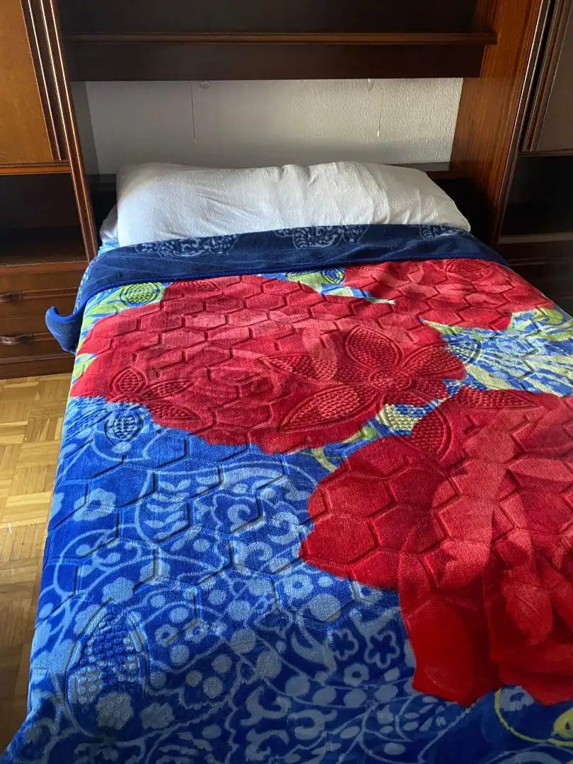Room in Calle Río Ega, 44, Azpilañaga Room in Calle Río Ega, 44, Azpilañaga