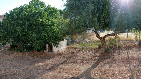 House or chalet for sale in Calle Juan Muñoz Lara, 7, Guadalcázar, Córdoba - image 3 Photo 3 of House or chalet for sale in Calle Juan Muñoz Lara, 7, Guadalcázar, Córdoba