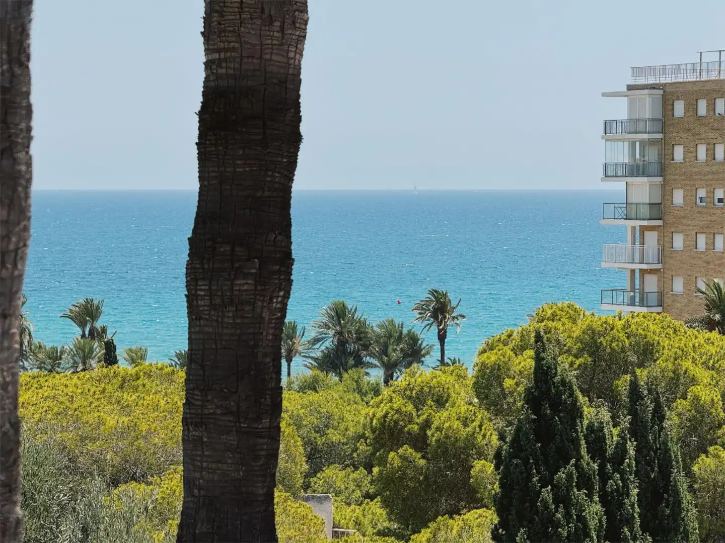 Wohnung zur Miete in Saavedra Fajardo, 1, Campoamor Wohnung zur Miete in Saavedra Fajardo, 1, Campoamor