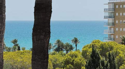 Foto 3 de Pis de lloguer a Saavedra Fajardo, 1, Campoamor, Alicante