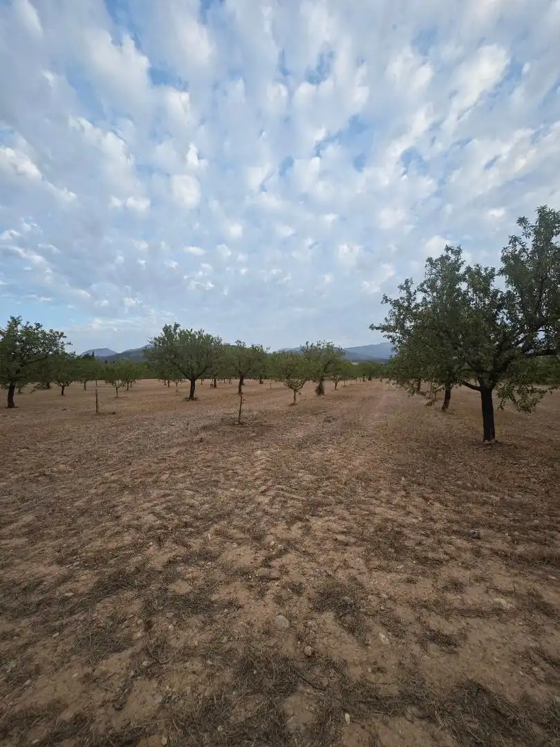 Finca rústica en venda en Inca