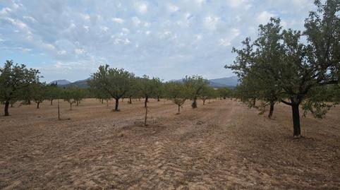 Foto 4 de Finca rústica en venda a Diseminado Poligono 9, 364, Zona Periurbana, Illes Balears