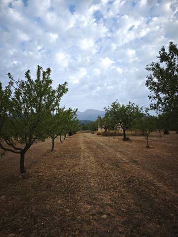 Finca rústica en Venta en Diseminado Poligono 9, 364 en Zona Periurbana