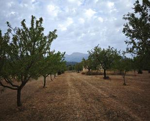 Finca rústica en venda en Inca