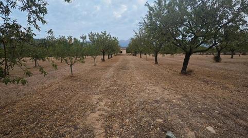 Foto 3 de Finca rústica en venda a Diseminado Poligono 9, 364, Zona Periurbana, Illes Balears
