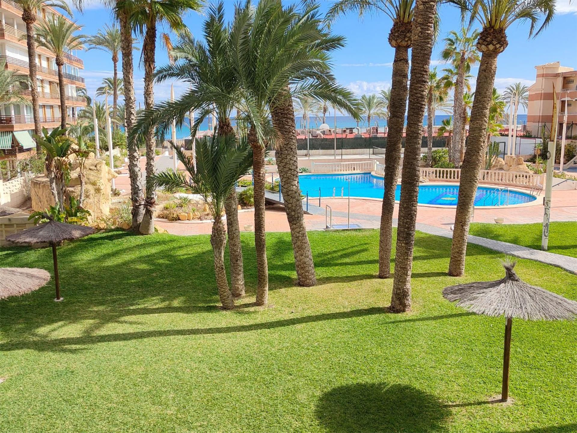 Pis de lloguer a Avinguda de la Costa Blanca, 132, Playa de San Juan