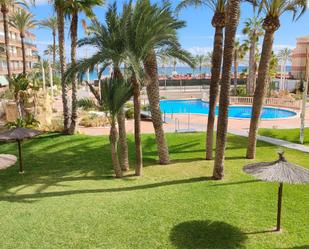 Garden of Flat to rent in Alicante / Alacant  with Air Conditioner and Swimming Pool