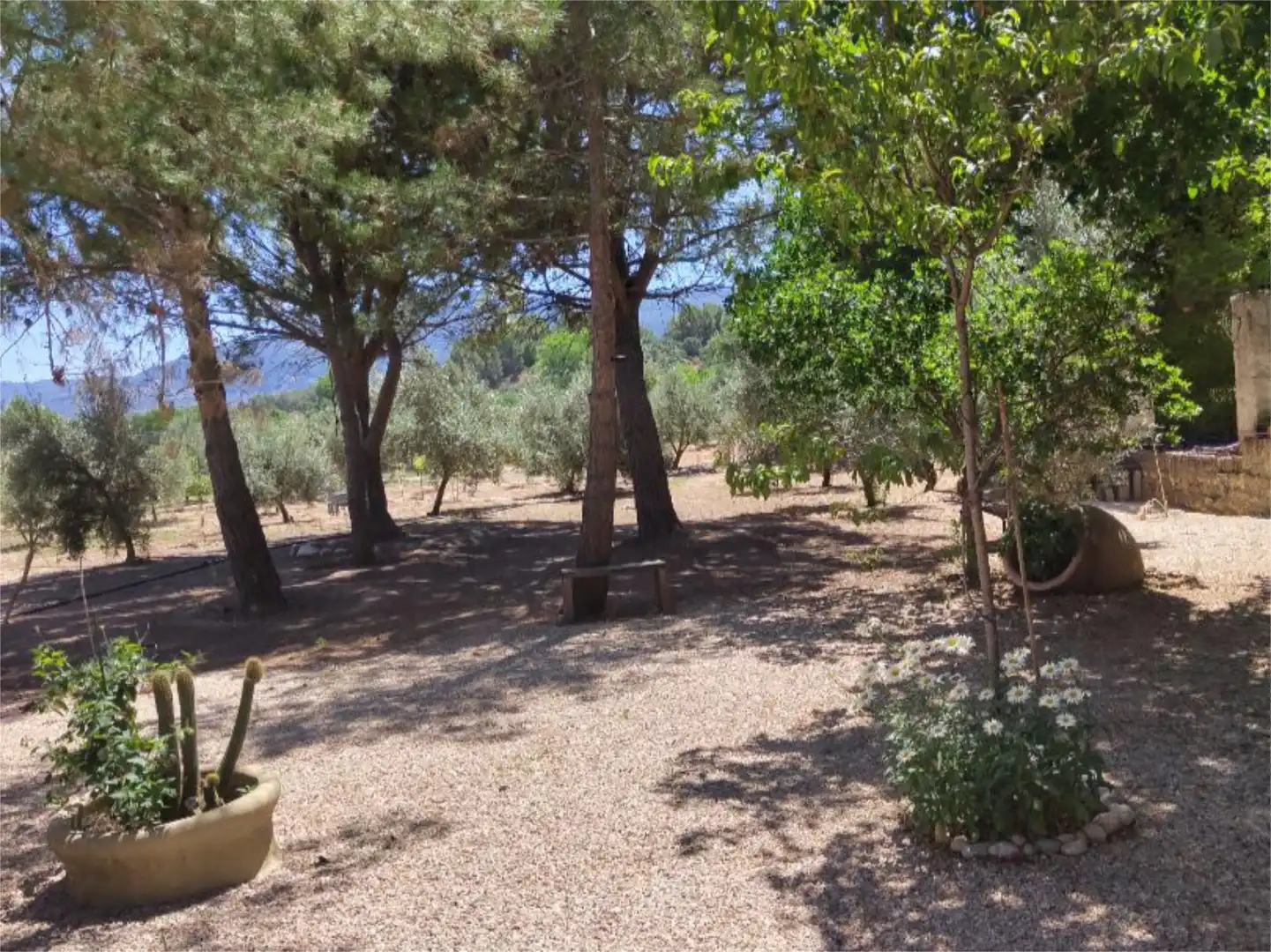 Country homes for sale in Urbanizacion San Miguel, 15, Benatae Garden of Country homes for sale in Benatae with Private garden, Swimming Pool and Furnished
