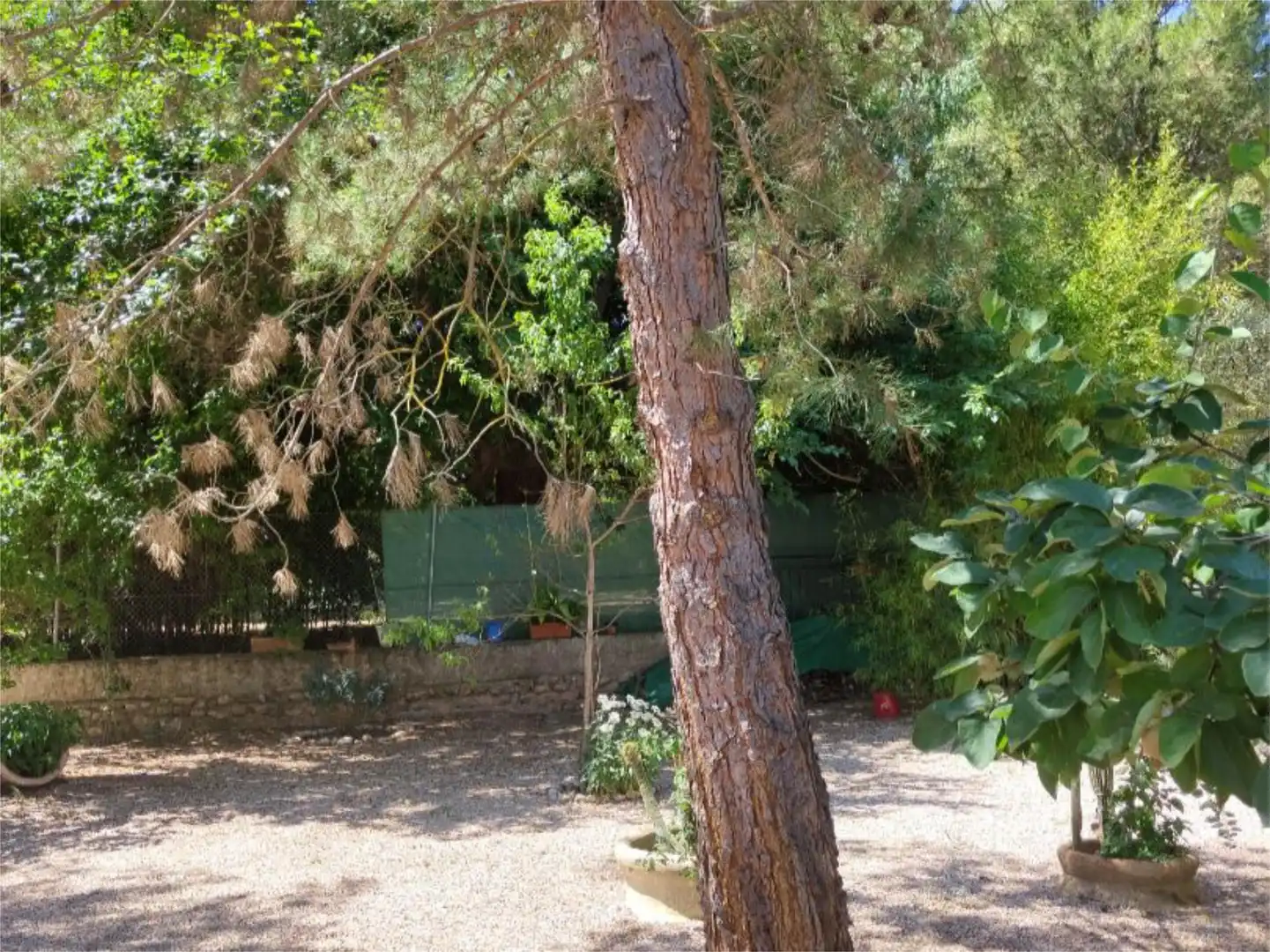 Country homes for sale in Urbanizacion San Miguel, 15, Benatae Garden of Country homes for sale in Benatae with Private garden, Swimming Pool and Furnished