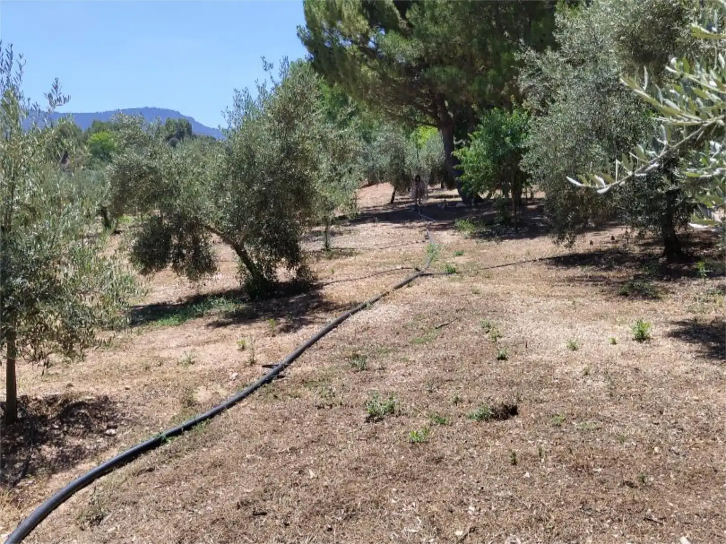 Country homes for sale in Urbanizacion San Miguel, 15, Benatae Country homes for sale in Benatae with Private garden, Swimming Pool and Furnished