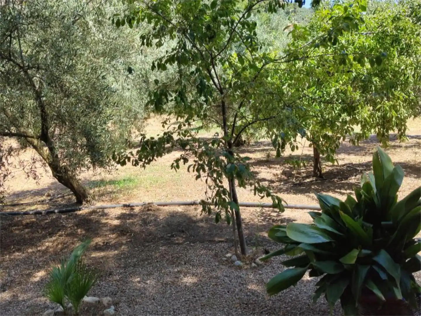 Country homes for sale in Urbanizacion San Miguel, 15, Benatae Garden of Country homes for sale in Benatae with Private garden, Swimming Pool and Furnished