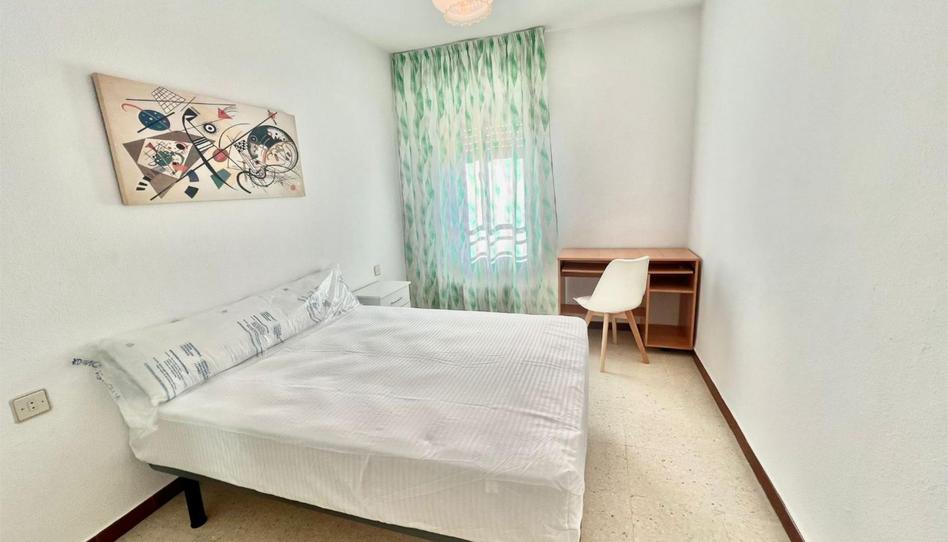 Flat to rent in Pasaje Portocarrero, 11, Casería de Montijo, Granada - image 1 Photo 1 of Flat to rent in Pasaje Portocarrero, 11, Casería de Montijo, Granada