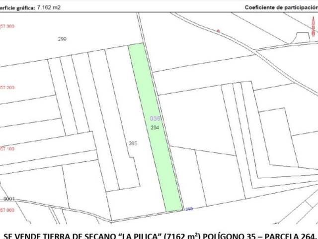 Terreno en Venta en Vial Camino, 263 en El Provencio