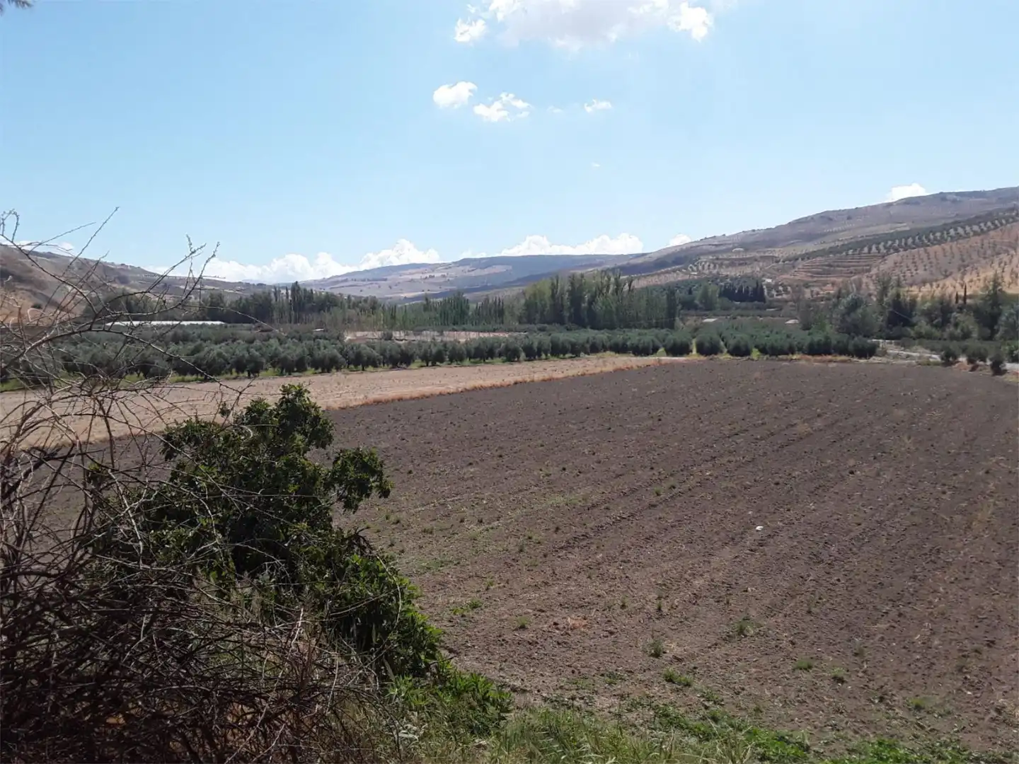 Ground floor for sale in Virgen de los Dolores, 7, Cacín Ground floor for sale in Cacín with Air Conditioner and Furnished