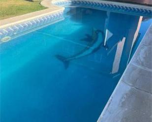 Piscina de Casa adosada en venda en Camarma de Esteruelas amb Piscina