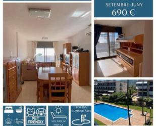 Exterior view of Flat to rent in Sant Carles de la Ràpita  with Terrace and Swimming Pool