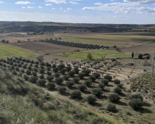 Finca rústica en venda en Mondéjar