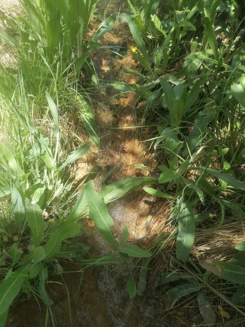 Garten von Grundstücke zum verkauf in Ruidera
