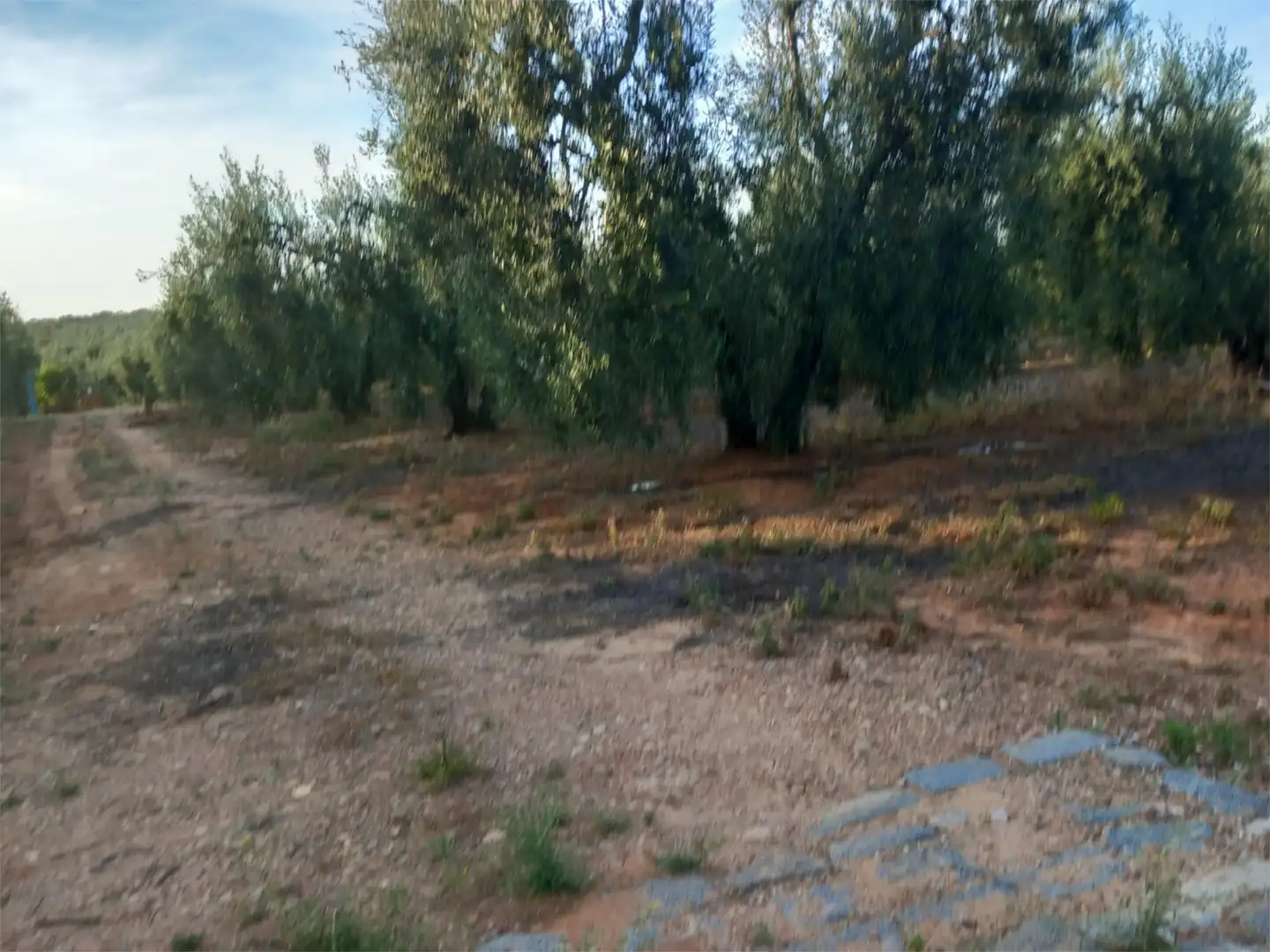Non-constructible Land for sale in Calle Lope de Vega, 4, Pilas Non-constructible Land for sale in Pilas