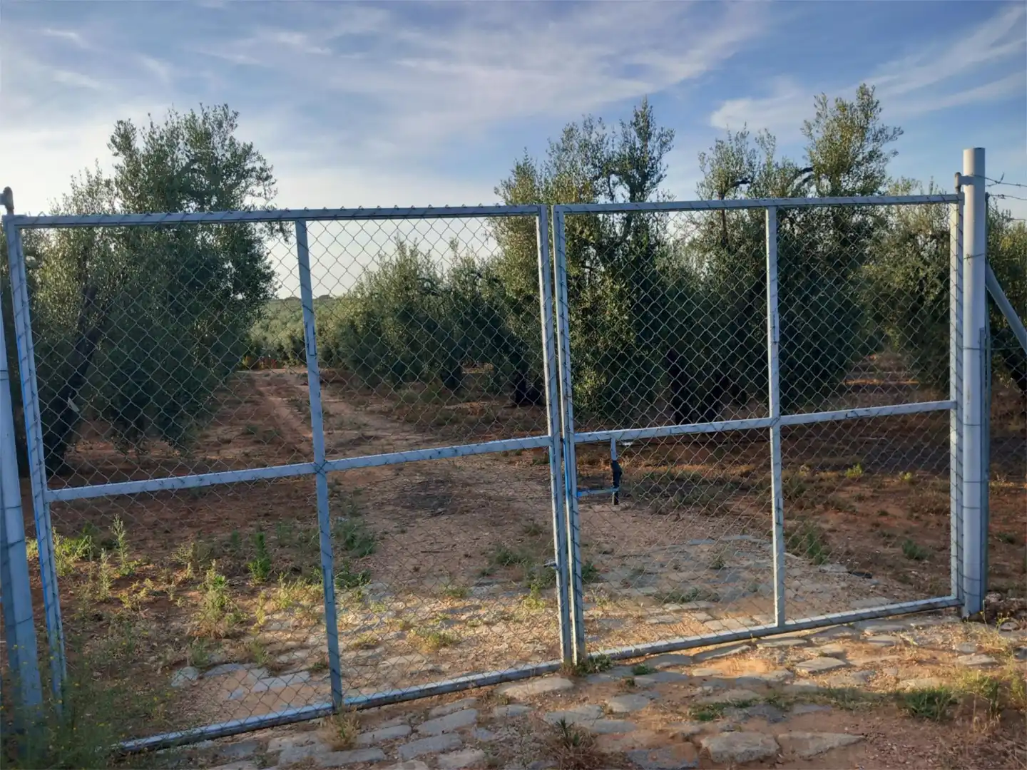 Non-constructible Land for sale in Calle Lope de Vega, 4, Pilas Non-constructible Land for sale in Pilas
