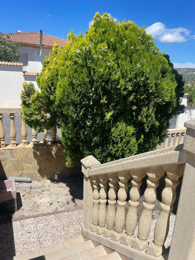 Casa o chalet en venta en Calle Principe, 26, Moclín Vista exterior de Casa o chalet en venta en Moclín con Jardín privado, Trastero y Piscina