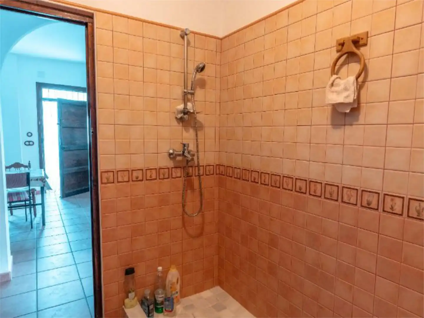 Bathroom of Country homes for sale in Alpujarra de la Sierra  with Terrace