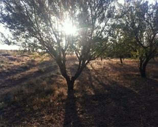 Exterior view of Land for sale in Belinchón