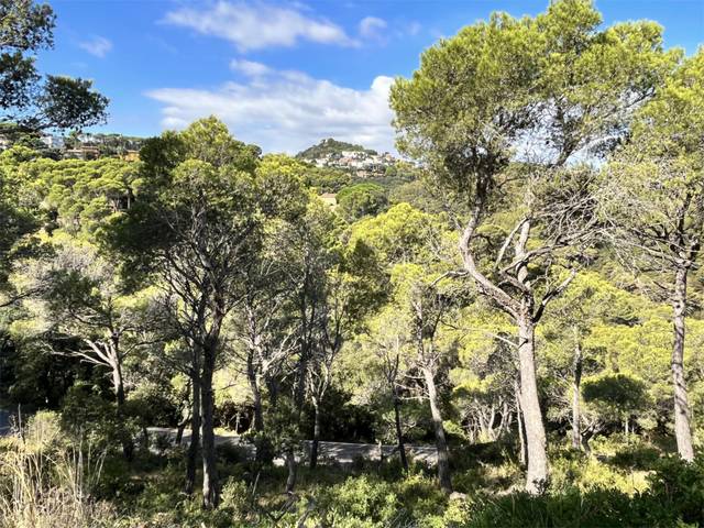 Terreno en Venta en Carrer Mirador de sa Tuna, 42 en Aiguafreda - Sa Tuna