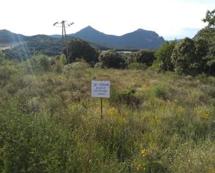 Land for sale in Ollo