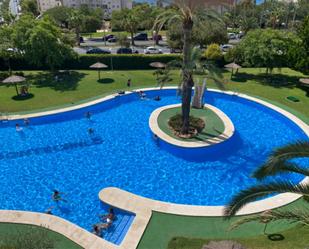 Swimming pool of Flat to rent in Alicante / Alacant  with Air Conditioner, Terrace and Swimming Pool