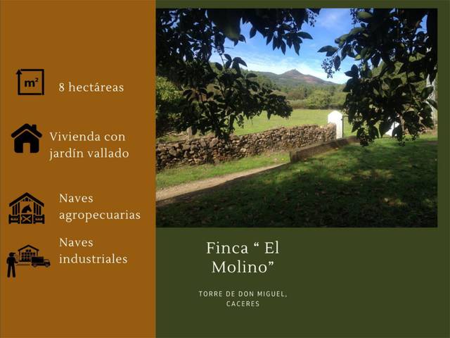 Finca rústica en Venta en Calle Rollo, 39 en Torre de Don Miguel