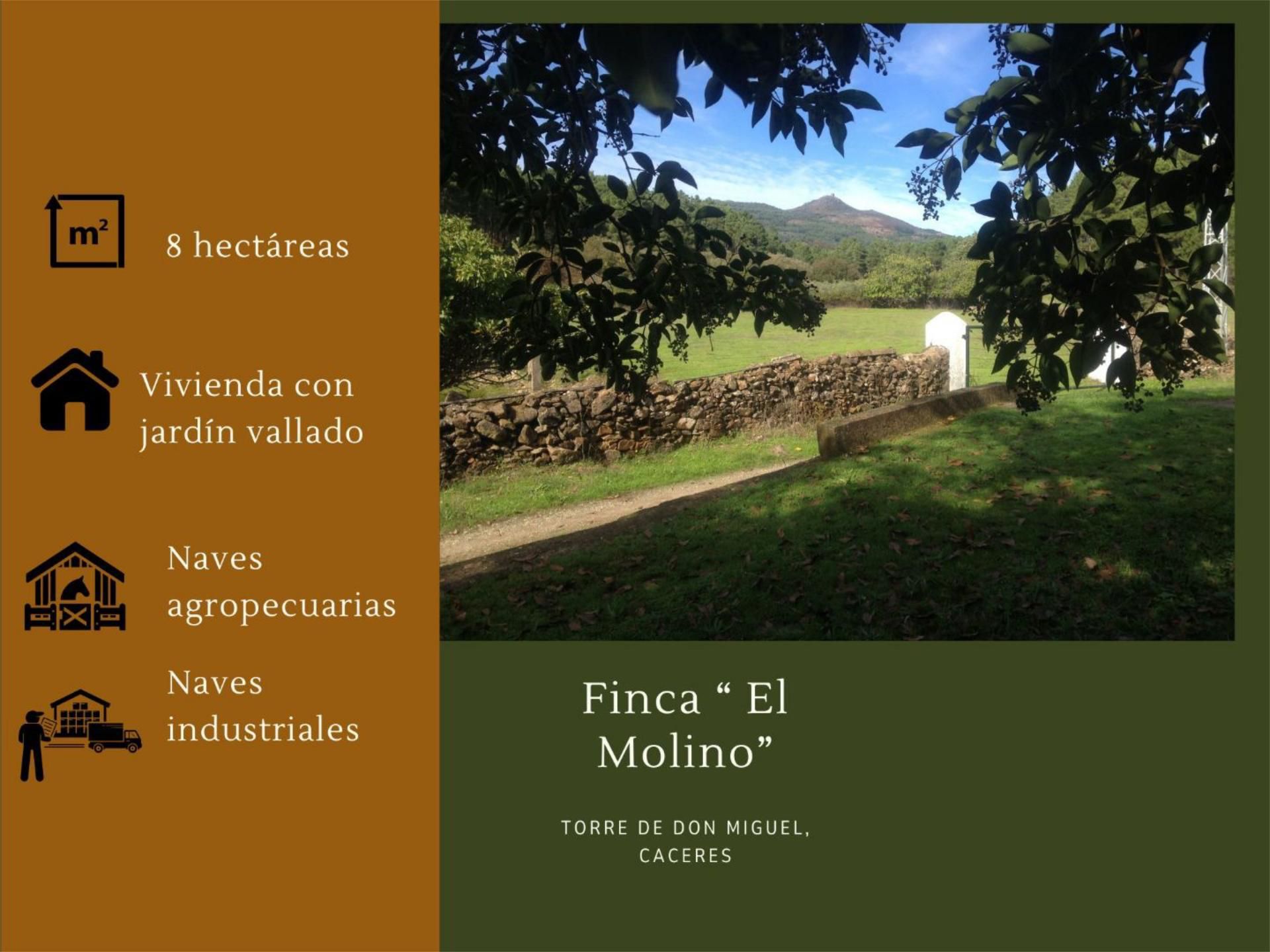 Exterior view of Country house for sale in Torre de Don Miguel