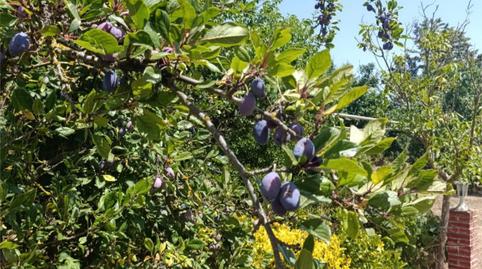 Finca rústica en venda a Le-522, 5, Pajares de los Oteros, León - imatge 5 Foto 5 de Finca rústica en venda a Le-522, 5, Pajares de los Oteros, León